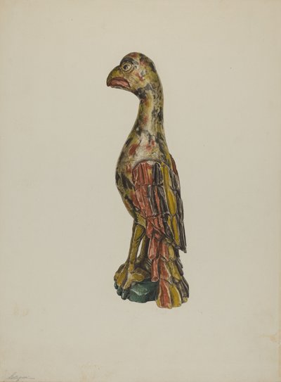 Pa. Alman Papağanı, c. 1939. by Giacinto Capelli