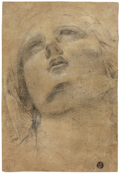  by Giacomo Cavedone