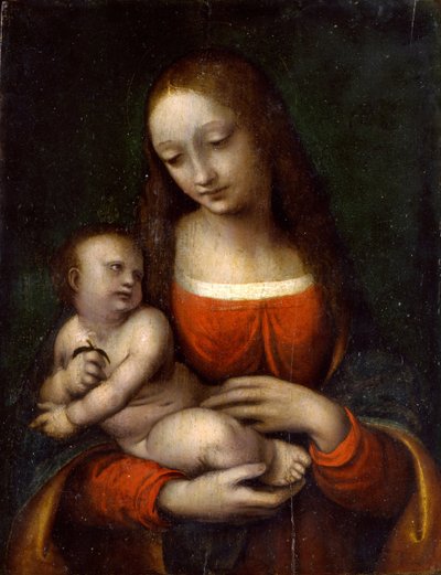 Bakire ve Çocuk, 1510-1515 by Giampietrino