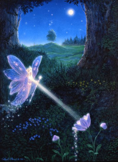 Peri çiçeği by Gilbert Williams