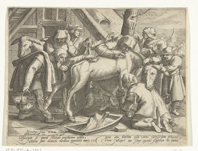 eşeği yıkamak by Gillis van Breen