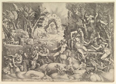 Procris