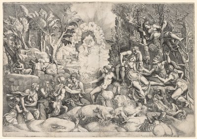 Procris