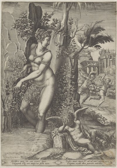 Venüs ve Gül by Giorgio Ghisi
