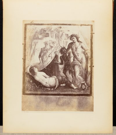 Taze Bacchus ve Ariadne Pompeii by Giorgio Sommer