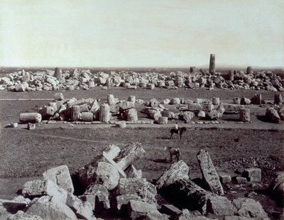 Selinunte'deki Minerva Tapınağı ve Apollon Tapınağı'nın kalıntılarının panoraması. Arkeolojik sit kalıntıları arasında at sırtında bir adam var. by Giorgio Sommer