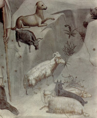 by Giotto