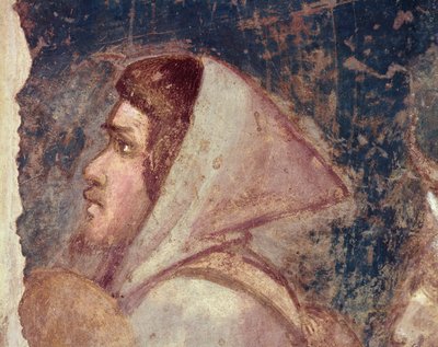 Head of a shepherd  by Giotto di Bondone
