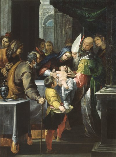 Tapınaktaki sunum, c.1630 (tuval üzerine yağlı boya) by Giovacchino Assereto
