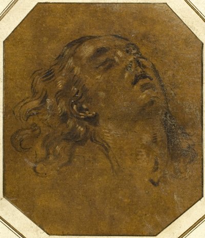 kadın kafa by Giovan Gioseffo dal Sole