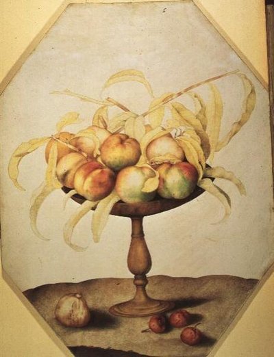 Şeftali Kasesi (parşömen üzerinde tempera) by Giovanna Garzoni