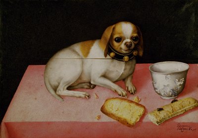 Bir Köpeğin Portresi (tuval üzerine yağlı boya) by Giovanna Garzoni