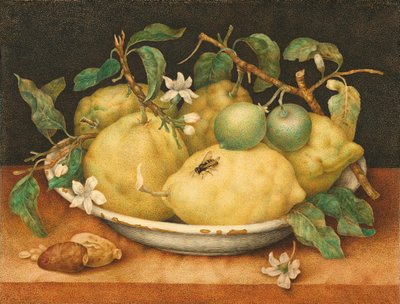 Narenciye ile Natürmort by Giovanna Garzoni