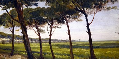 Bir Hat Eski Çam (panelde yağ) by Giovanni Costa