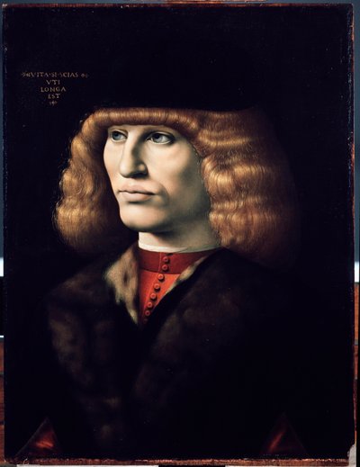 Genç adamın portresi, yaklaşık 1495 (tahta üzerine yağlı boya) by Giovanni Ambrogio de Predis