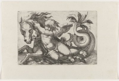 deniz atına binen putto by Giovanni Andrea Maglioli