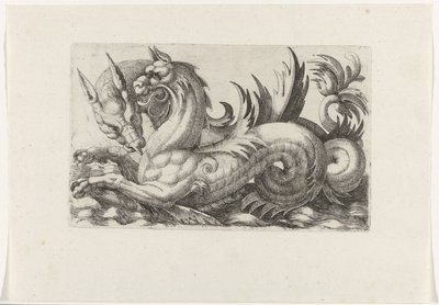 iki deniz canavarı by Giovanni Andrea Maglioli