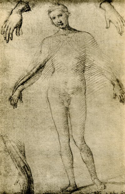 Ana misericordiae olarak bir Meryem Ana için Model Çalışması by Giovanni Antonio Bazzi Sodoma