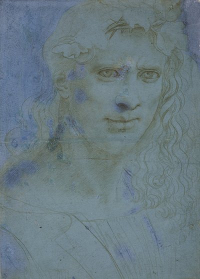 Dikenler ve asma sürgünleri ile taçlandırılmış genç büstü, c. 1495 (mavi hazırlanmış kağıt üzerinde metal uç) by Giovanni Antonio Boltraffio