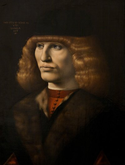 Genç bir adamın portresi, c.1500 (panelde yağlı boya) by Giovanni Antonio Boltraffio