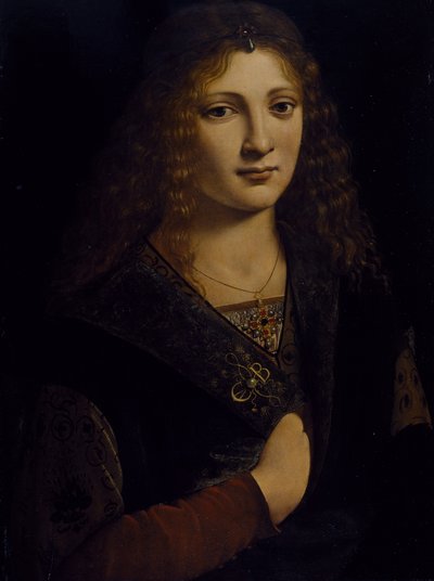 Genç bir adamın portresi, muhtemelen Girolamo Casio, c.1500 (ahşap panel üzerine yağlı boya) by Giovanni Antonio Boltraffio