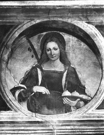 Aziz Agatha by Giovanni Antonio Boltraffio