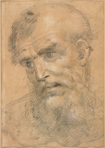  by Giovanni Antonio Sogliani