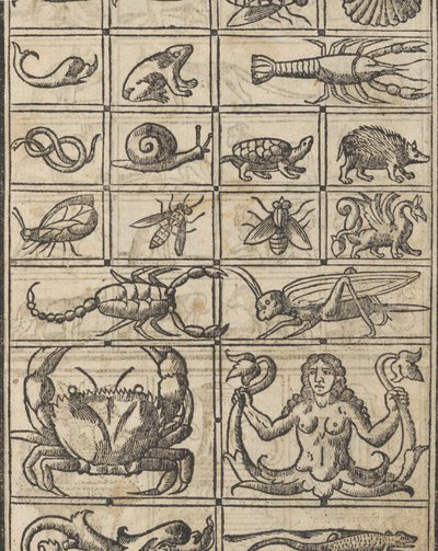 Recammi örneği, sayfa 11 recto, 1530. by Giovanni Antonio Tagliente