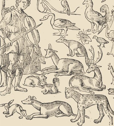 Recammi örneği, sayfa 12 verso, 1530. by Giovanni Antonio Tagliente