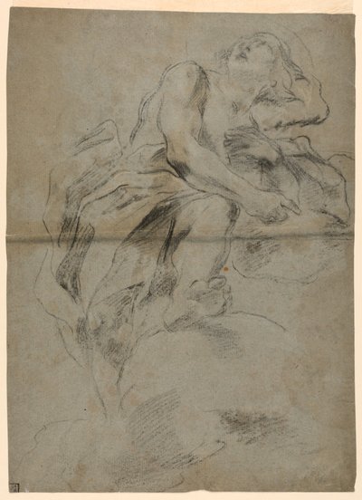 metanet (?) by Giovanni Battista Beinaschi