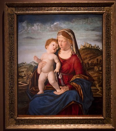 Çocuklu Madonna (tuval üzerine yağlı boya) by Giovanni Battista Cima da Conegliano