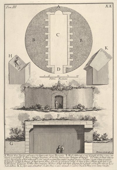 Vigna Buonamici