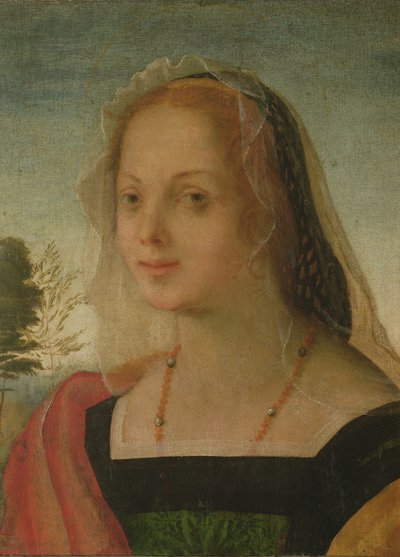 Genç bir kızın portresi (panelde öfke) by Giovanni Battista Rosso Fiorentino