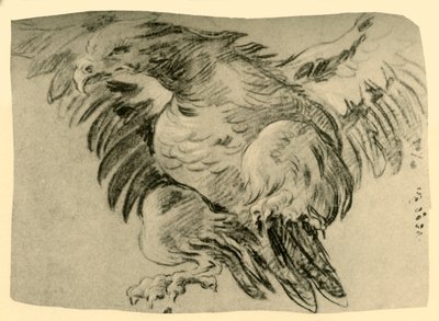 Kartal, 1751-1752, 1928 by Giovanni Battista Tiepolo