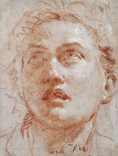 Yukarıya bakan bir adamın başı, by Giovanni Battista Tiepolo