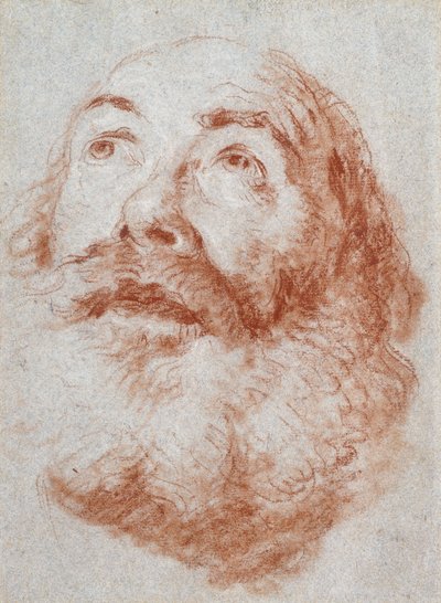 Yaşlı bir adamın başı yukarıya bakıyor, by Giovanni Battista Tiepolo