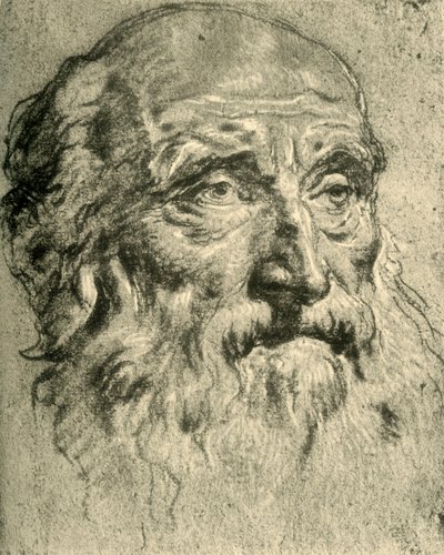 Yaşlı Bir Adamın Başı, 18. yüzyılın ortaları, 1928 by Giovanni Battista Tiepolo