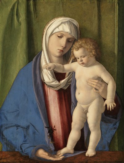 Bakire ve Çocuk, c.1488-90 (panel üzerine yağlı boya) by Giovanni Bellini