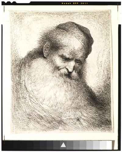 Kafası Öne Eğilmiş, Kafatası Takan, Sağa Bakmış Sakallı Yaşlı Adam by Giovanni Benedetto Castiglione