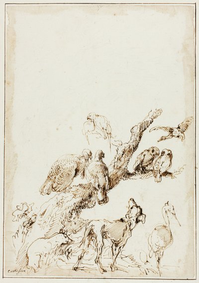 Ölü Bir Ağacın Etrafındaki Kuşlar ve Hayvanlar by Giovanni Benedetto Castiglione