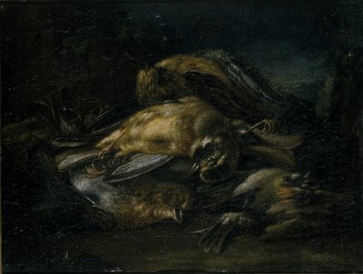 Ölü Kuş, 1664 by Giovanni Benedetto Castiglione