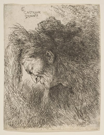 Küçük Başlar serisinden aşağı bakan, sola bakan yaşlı bir adamın başı ..., ca. 1645-1650. by Giovanni Benedetto Castiglione