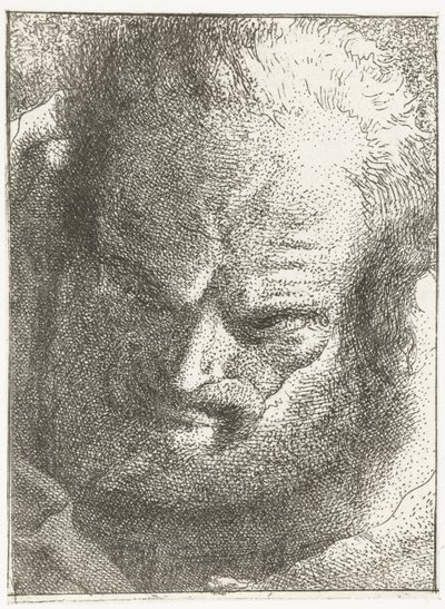 Aşağı bakan adam Kafa koleksiyonu (dizi başlığı) Raccolta di Teste (dizi başlığı) by Giovanni Domenico Tiepolo