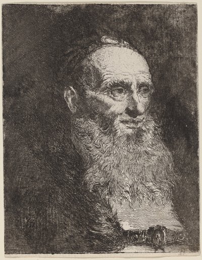 Sakallı Yaşlı Adam by Giovanni Domenico Tiepolo