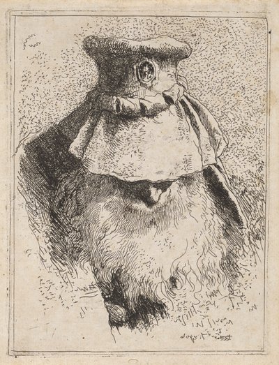 Büyük Şapkalı Yaşlı Adam, Raccolta di Teste'den (Kafa Koleksiyonu) by Giovanni Domenico Tiepolo