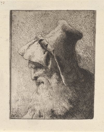 Raccolta di Teste