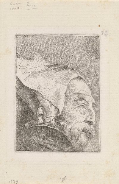 Raccolta di Teste