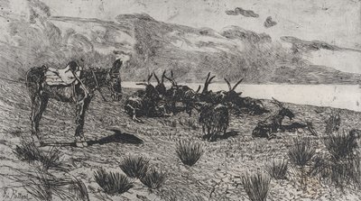 Eşek ve keçiler kışın deniz kıyısında, 1884-1908. by Giovanni Fattori