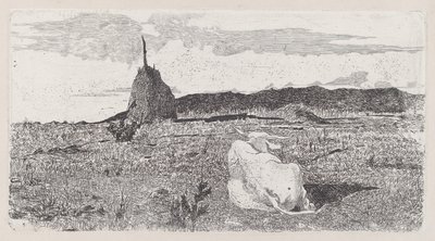 Kutsal İnek [Pio bove] by Giovanni Fattori