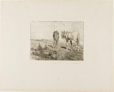  by Giovanni Fattori